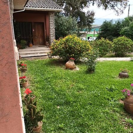 شقة Vivenda Do Sobreiro Al Serpins المظهر الخارجي الصورة